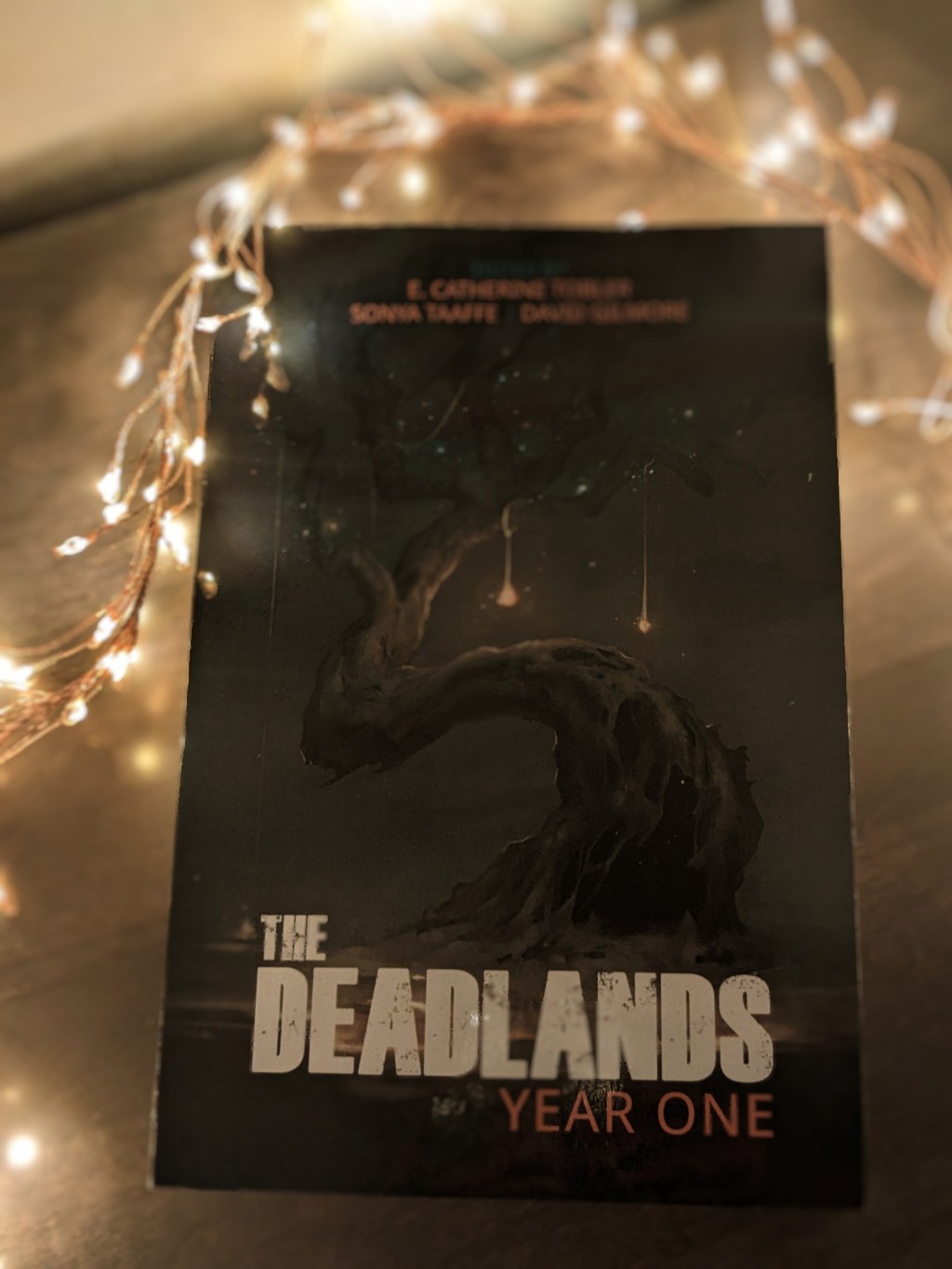 The Deadlands Year&nbsp;One
